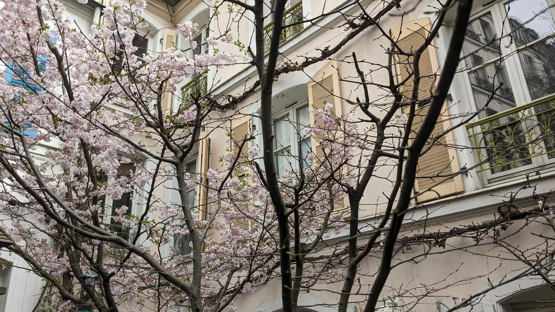 Guest house Chambres D'Hotes Calmes Sur Jardin Paris Batignolles