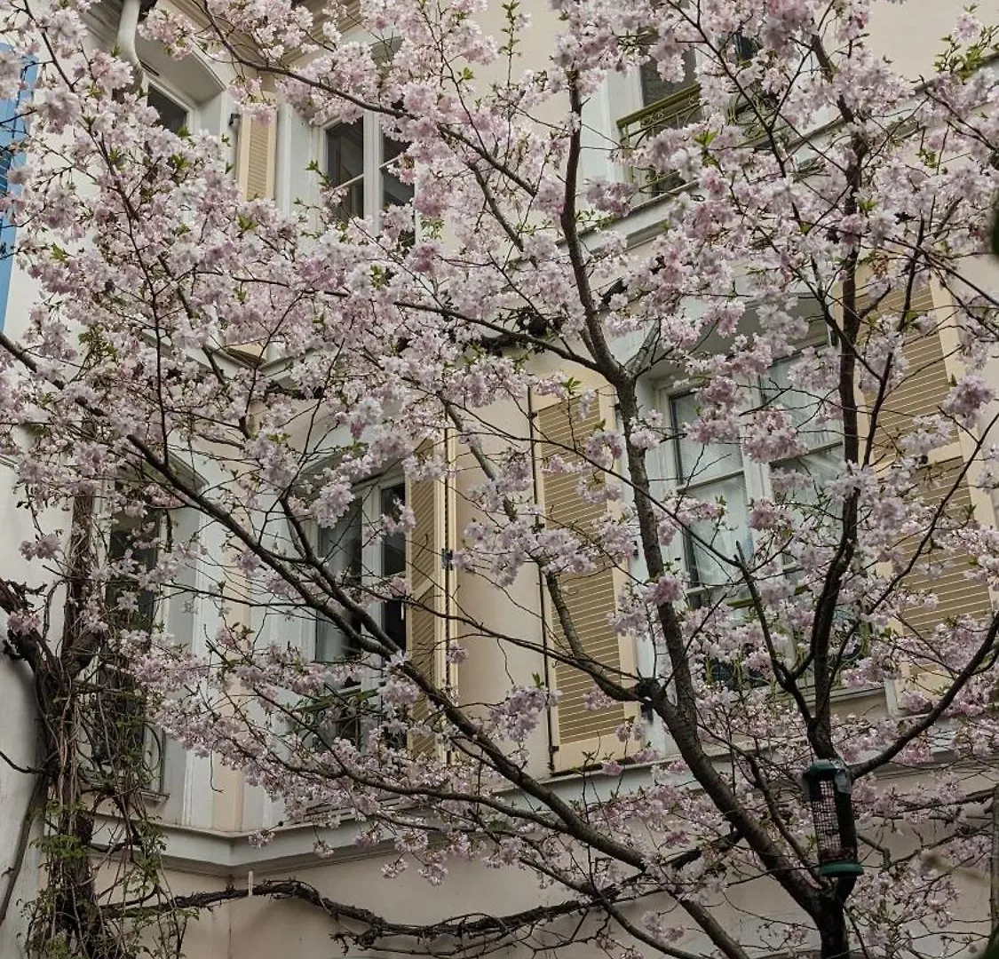Chambres D'Hotes Calmes Sur Jardin Paris Batignolles